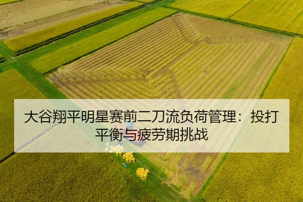 da-gu-xiang-ping-ming-xing-sai-qian-er-dao-liu-fu-he-guan-li-tou-da-ping-heng-yu-pi-lao-qi-tiao-zhan-2-410.jpg