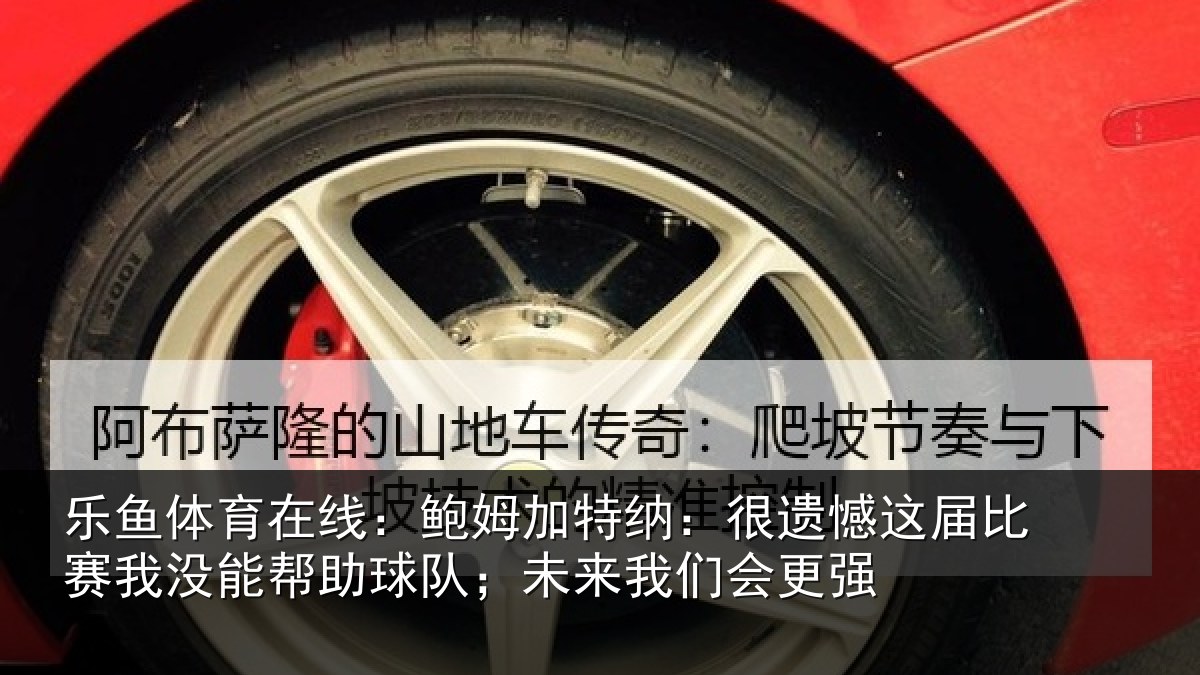 乐鱼体育在线:鲍姆加特纳:很遗憾这届比赛我没能帮助球队;未来我们会更强