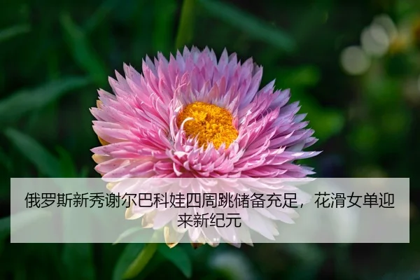 e-luo-si-xin-xiu-xie-er-ba-ke-wa-si-zhou-tiao-chu-bei-chong-zu-hua-hua-nv-dan-ying-lai-xin-ji-yuan-3-790.jpg