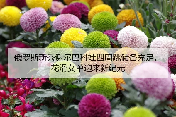 俄罗斯新秀谢尔巴科娃四周跳储备充足，花滑女单迎来新纪元